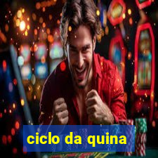 ciclo da quina